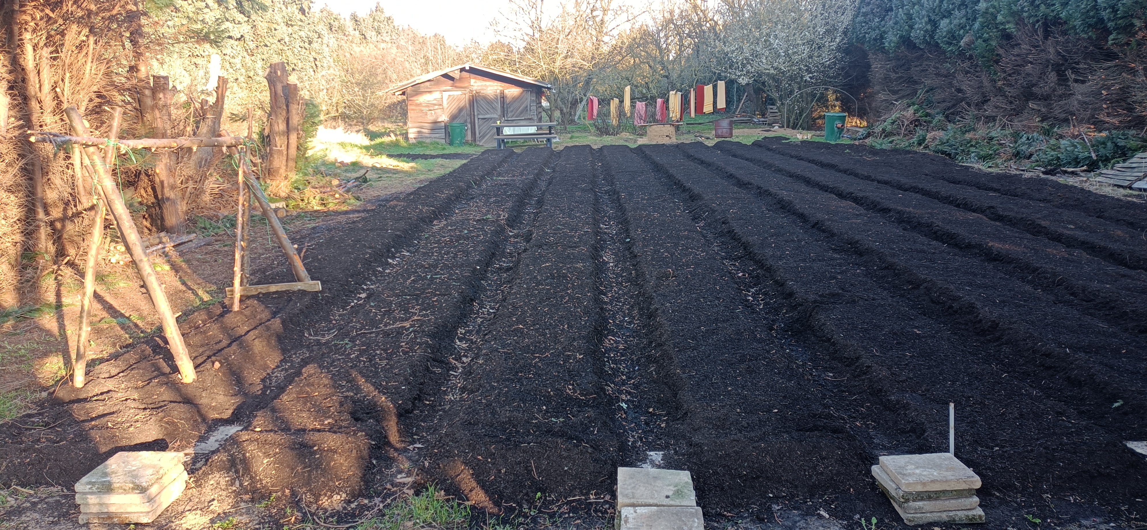 Lange donkere teeltbedden in de tuin van Aarden met het tuinhuis op de achtergrond.